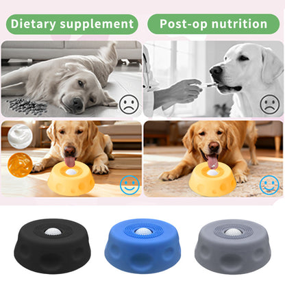 Slow Feed Dog Lick Bowl – Anti-Slip Feeding & Treat Bowl