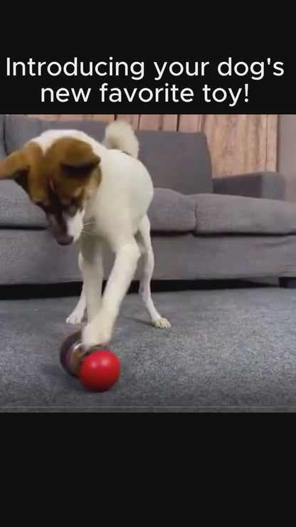 Interactive Treat Dispensing Dog Toy – Slow Feeder Puzzle Ball